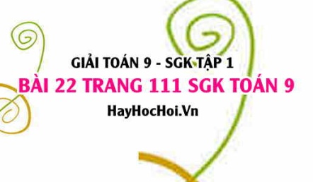 Giải bài 22 trang 111 SGK Toán 9 tập 1